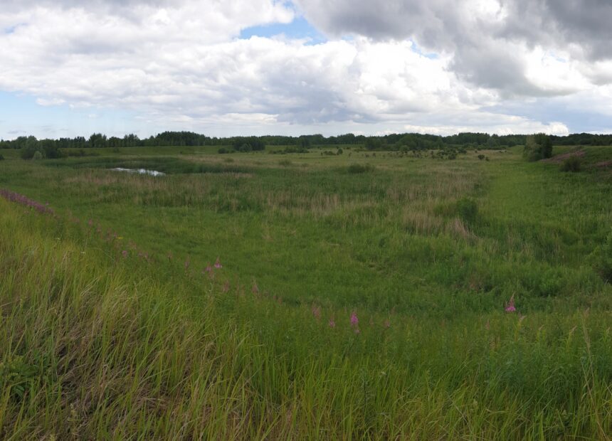 Muuga ärikinnistute ala ülevaade Tallinnas – tööstuskinnisvara