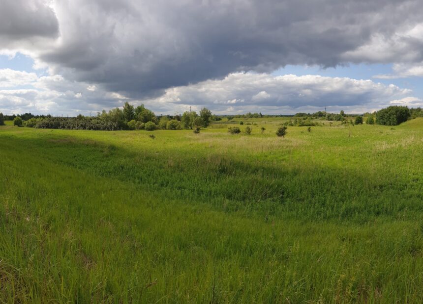 Muuga ärikinnistute tööstusala üldvaade Tallinnas – äripinnad sadamapiirkonnas